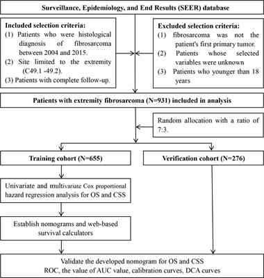 Two simple-to-use web-based nomograms to predict overall survival and cancer-specific survival in patients with extremity fibrosarcoma